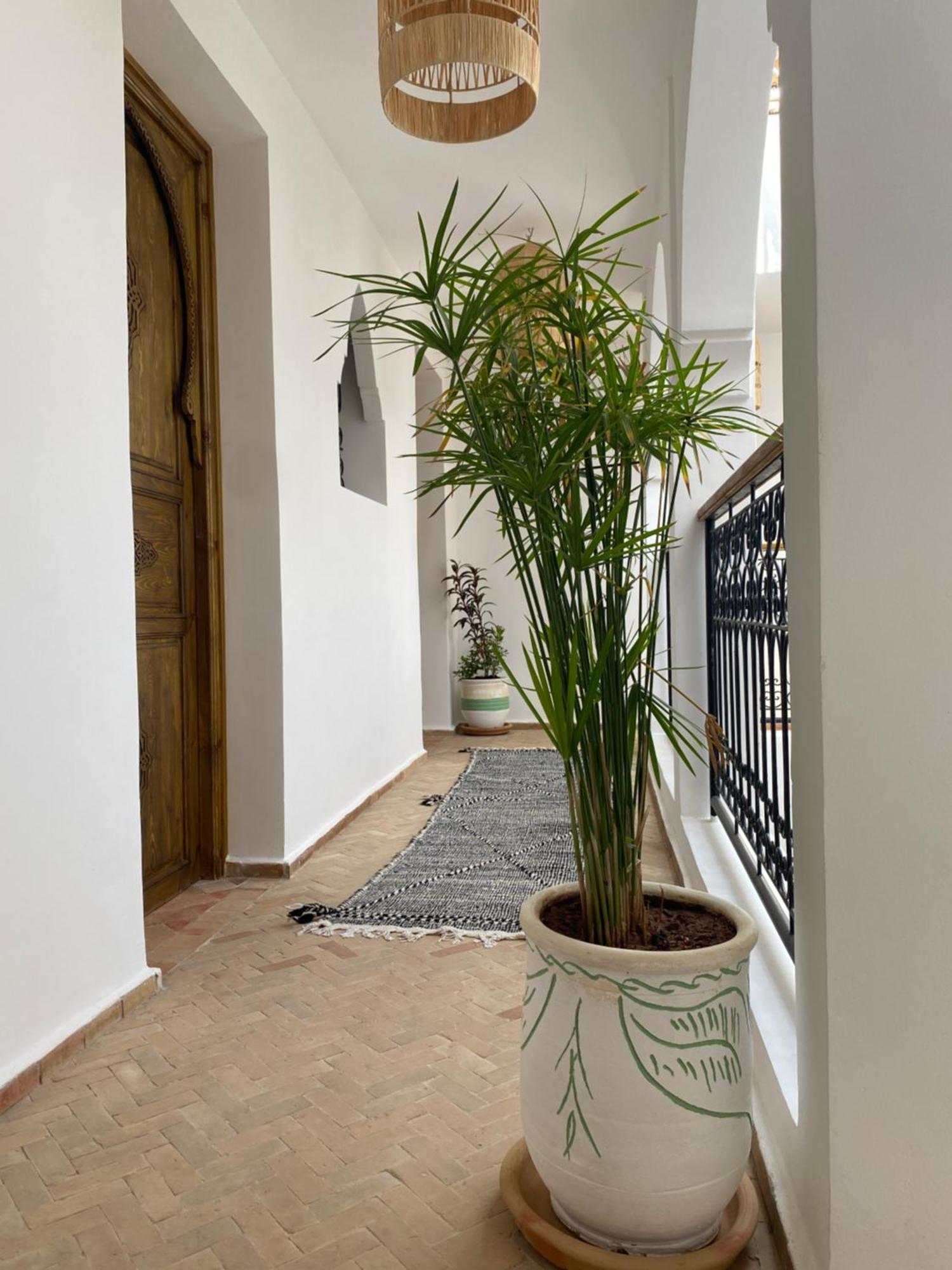 Riad & Spa Sous Le Soleil Chez Jerome Et Pamela Ch Zen マラケシュ エクステリア 写真